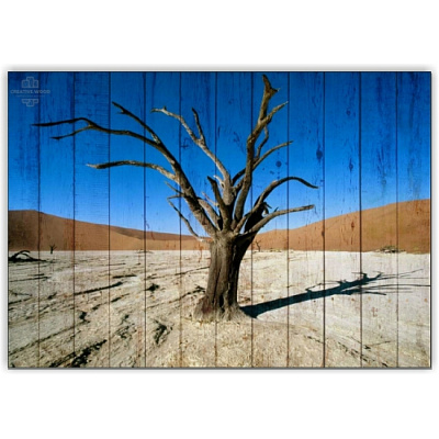 Картины Африка - Дерево в пустыне, Африка, Creative Wood Картины Африка - Дерево в пустыне, Африка, Creative Wood